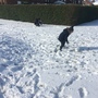 Snow day 1137.JPG