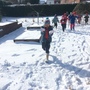 Snow day 1146.JPG