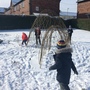 Snow day 1151.JPG