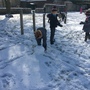 Snow day 1163.JPG