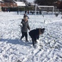 Snow day 1172.JPG