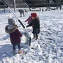 Snow day 1175.JPG