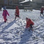 Snow day 1176.JPG