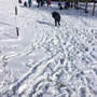 Snow day 1179.JPG