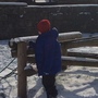 Snow day 1202.JPG