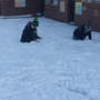 Snow day 1211.JPG