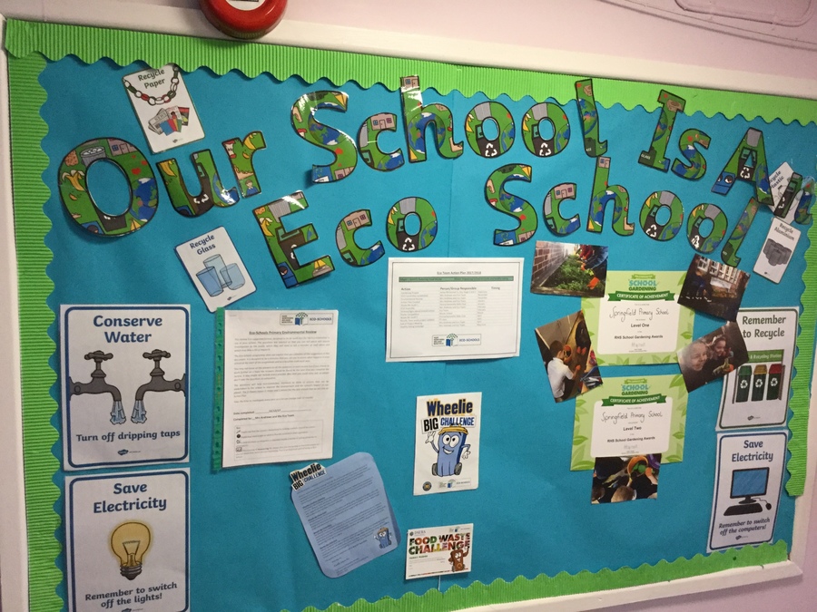 springfield-primary-school-and-playgroup-eco-schools