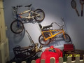 100_4905.jpg