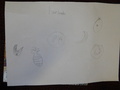 DSCN0346.JPG