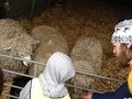 IMG_0283.JPG