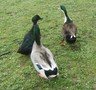 We looked for signs of Spring!<br>