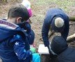 We found lots & lots of mini-beasts!