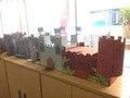 IMG_0903.JPG