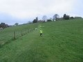 IMG_1348.JPG
