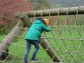 IMG_1377.JPG