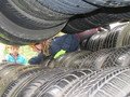 IMG_1394.JPG