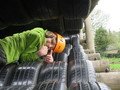 IMG_1398.JPG