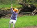 IMG_1411.JPG