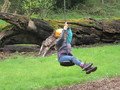IMG_1415.JPG