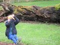 IMG_1427.JPG