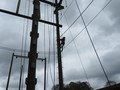 IMG_1522.JPG