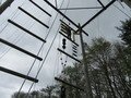 IMG_1532.JPG