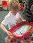 IMG_7684.JPG
