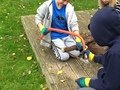 IMG_2173.jpg