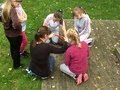 IMG_2187.jpg