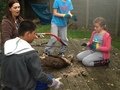 IMG_2212.jpg