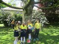 IMG_3358.JPG