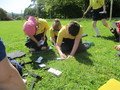 IMG_3379.JPG