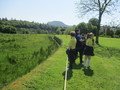 IMG_3380.JPG
