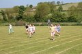 IMG_9906.JPG