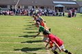 IMG_0043.JPG