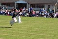 IMG_0089.JPG