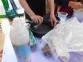 DSCN0457.JPG