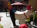 DSCN0523.JPG