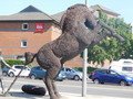 DSCN0532.JPG