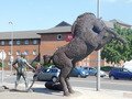 DSCN0533.JPG