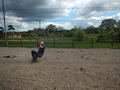DSCN6157.JPG