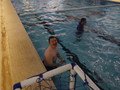 DSCN6385.JPG