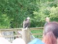 DSCN0629.JPG