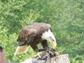 DSCN0631.JPG