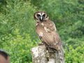 DSCN0633.JPG