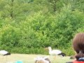 DSCN0641.JPG