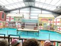 DSCN0642.JPG
