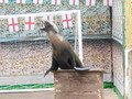DSCN0652.JPG