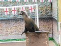 DSCN0653.JPG