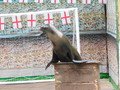 DSCN0657.JPG